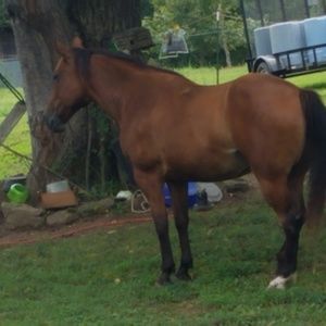 Meet your Posher, Darla